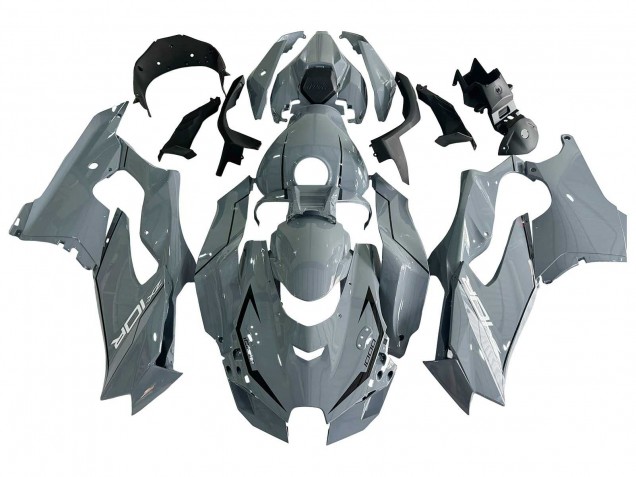 Descuento Carenados Moto Kawasaki ZX10R 2021-2025 - Gris