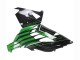 Descuento Carenados Moto Kawasaki ZX14R ZZR1400 2012-2024 - Verde Negro Brillante Raya