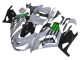 Descuento Carenados Moto Kawasaki ZX14R ZZR1400 2012-2024 - Gris Verde Negro