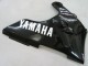 Descuento Carenados Moto Yamaha YZF 1000 R1 2000-2001 - Negro Brillante Blanco Calcomanía