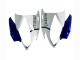 Descuento Carenados Moto Yamaha YZF 600 R6 2006-2007 - Blanco Azul Jordan