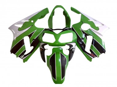 Descuento Carenados Moto Kawasaki ZX12R 2002-2006 - Blanco Verde Negro