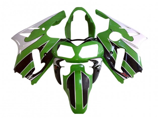 Descuento Carenados Moto Kawasaki ZX12R 2002-2006 - Blanco Verde Negro