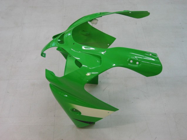 Descuento Carenados Moto Kawasaki ZX9R 2000-2001 - Verde Plata Negro