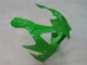 Descuento Carenados Moto Kawasaki ZX9R 2000-2001 - Verde Plata Negro