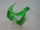 Descuento Carenados Moto Kawasaki ZX9R 2000-2001 - Verde Plata Negro