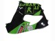 Descuento Carenados Moto Kawasaki ZX9R 2000-2001 - Verde Negro Playboy DENSO