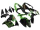 Descuento Carenados Moto Kawasaki ZX9R 2000-2001 - Verde Negro Playboy DENSO