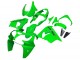 Descuento Carenados Moto Kawasaki ZX9R 2000-2001 - Verde