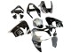 Descuento Carenados Moto Kawasaki ZX9R 2002-2003 - Plata Negro Brillante Monstruo Elf