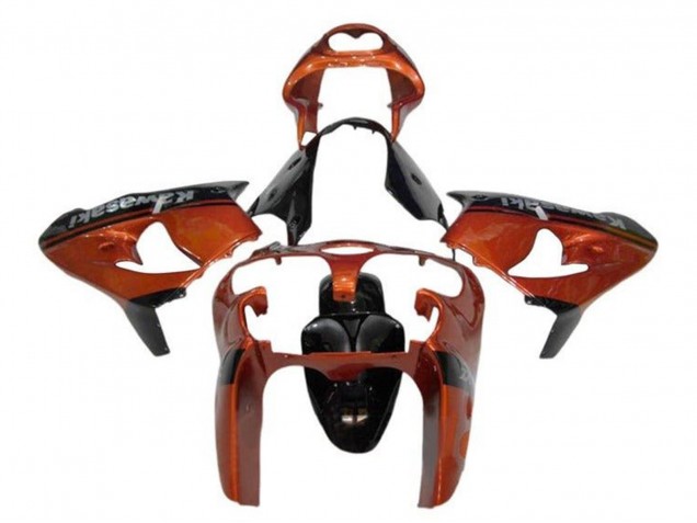 Descuento Carenados Moto Kawasaki ZX9R 2002-2003 - Naranja Negro