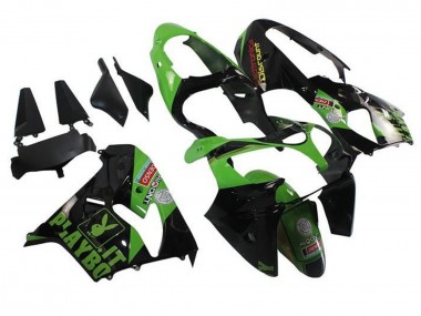 Descuento Carenados Moto Kawasaki ZX9R 2002-2003 - Verde Negro Playboy
