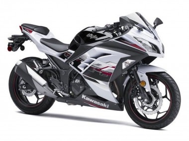 Descuento Carenados Moto Kawasaki EX300 2013-2024 - Blanco Negro Rojo Accents