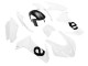 Descuento Carenado Moto Aprilia RS660 2020-2024 - Blanco