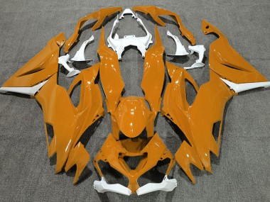 Naranja Brillante & Blanco 19-23 ZX6R Carenado