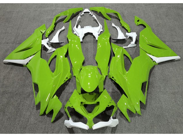 Verde Brillante & Blanco 19-23 ZX6R Carenado Verde Brillante & Blanco 19-23 ZX6R Carenado